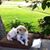 Beckie Creswell Henry's profile image