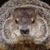 Jim Daniels's profile image