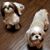 Kim Richards's profile image