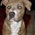 Tammie Godwin's profile image