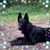 Kendra Hancotte's profile image