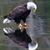 Cynthia K. McConnell's profile image