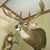 Chris Tuttle's profile image