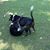Claire Dobbins's profile image