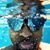 DrJeremiah McKinley CPh's profile image