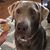 Lursey Allgeier's profile image
