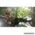 Jacque Fink's profile image