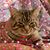Kathi Murray's profile image