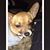 Bonnie Bennett's profile image