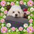 Rachel Pena's profile image
