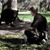 Jason Grossman's profile image