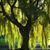 Bruce Roxby's profile image