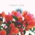 Lynette Ackerman's profile image