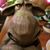 Mike Miller's profile image
