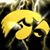 Amy Phillips's profile image