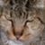 Nella Downs's profile image