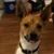Terri Foley's profile image