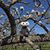 Barbel Schaul's profile image