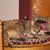 Kathy Curran Christon's profile image