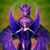 Candice Steagall's profile image