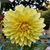 Nancy Privitera Martin's profile image