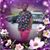 Missy Duke's profile image