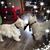 Brenda Merrill's profile image