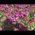 Gloria Smith's profile image
