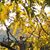Ingrid Batres's profile image