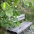 JoAnn Chambers's profile image