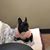Deann Z Provine's profile image