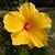 Linda Marshall Brengle's profile image