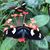 Patricia Diaz's profile image
