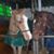Kathy Castellitto's profile image
