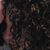 Mich Pillet's profile image