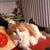 Karen Anderson's profile image