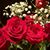 Angie Trumbull Santos's profile image