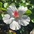 Sheri Krouse's profile image