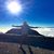Savi Fernandez's profile image