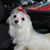 Aleta Spivey's profile image