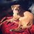 Stephanie Reed's profile image