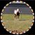 Michel Reynolds's profile image