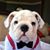 Hector Concepcion's profile image