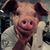 Andrew Doyon's profile image