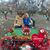 Debbie Saghatelian's profile image