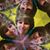 Pamila Masters's profile image