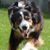 Cindy Thomas's profile image
