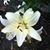 Monica Ainslie's profile image