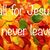 Flor Ponce's profile image