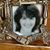 Donna Parker Burnett's profile image